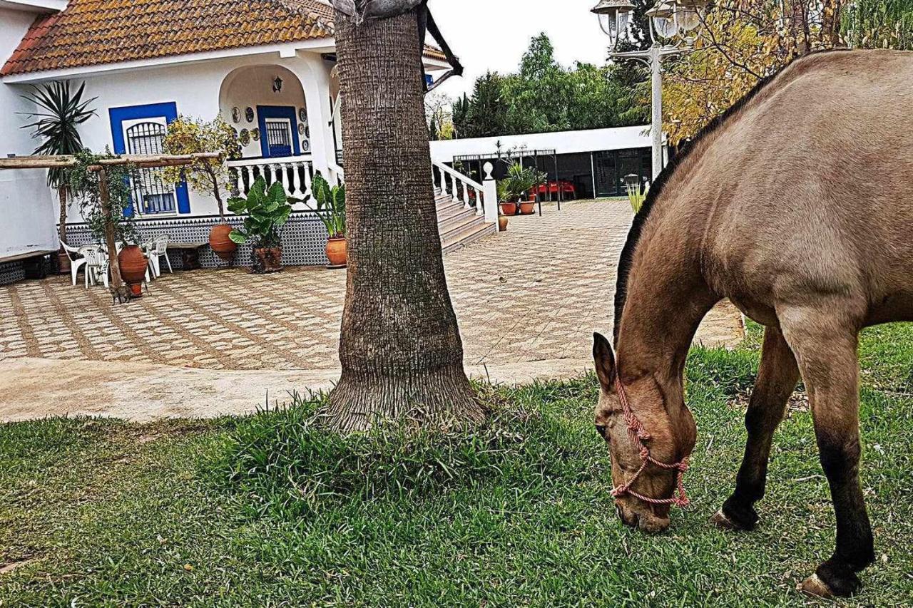 Casa Rural Finca Real De Niebla Pensionat Eksteriør billede