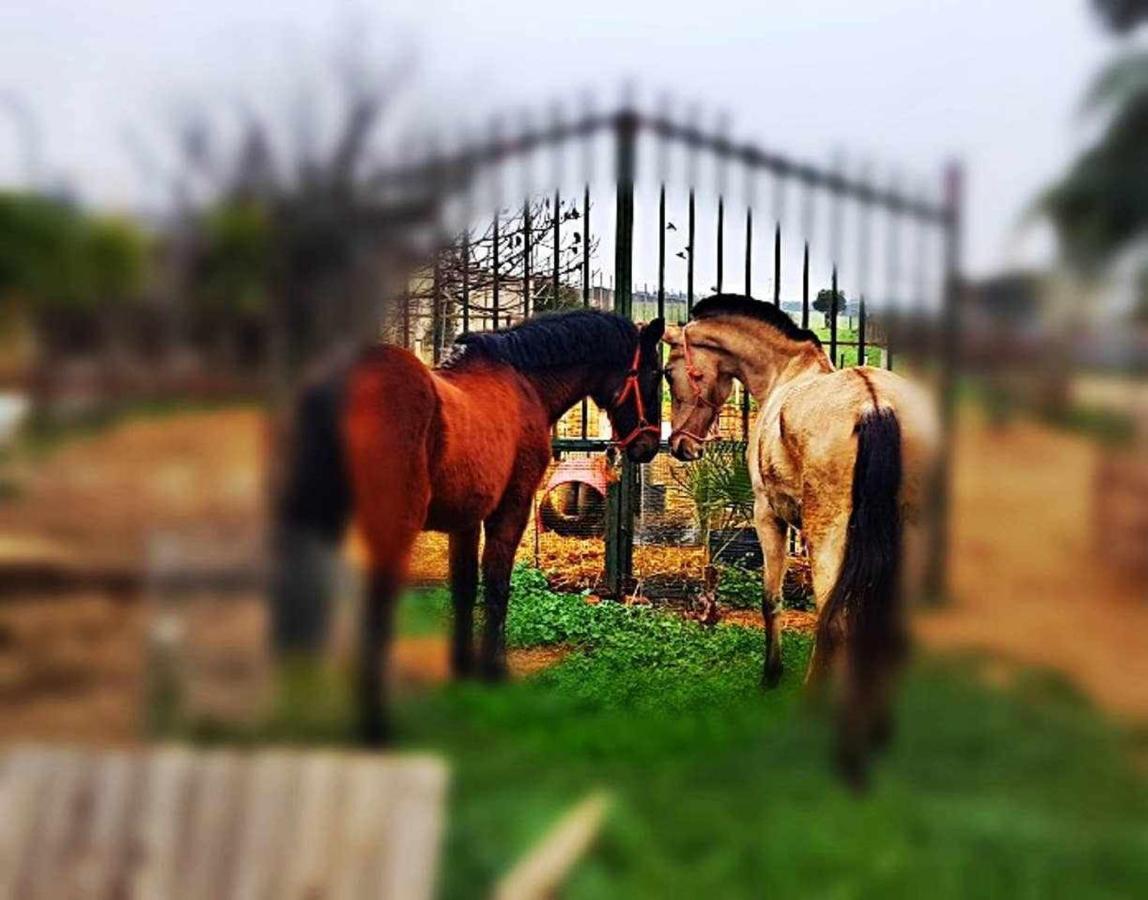 Casa Rural Finca Real De Niebla Pensionat Eksteriør billede