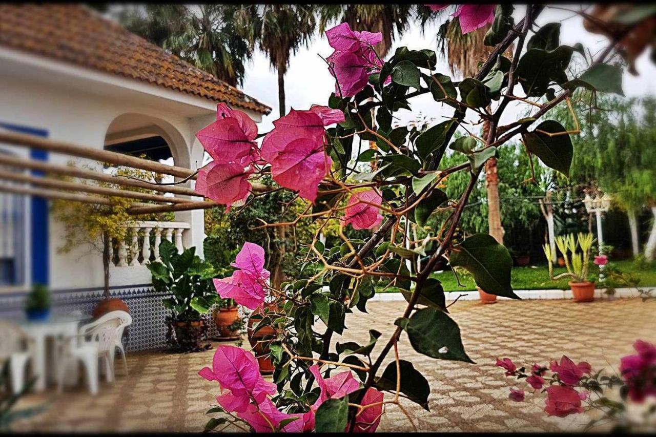 Casa Rural Finca Real De Niebla Eksteriør billede